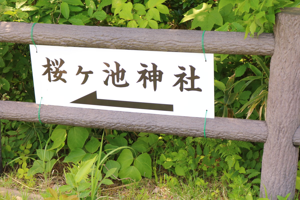 プレイアースパーク富山（桜ヶ池）の周辺観光の穴場、「桜ヶ池神社」への道のりを示す案内看板。