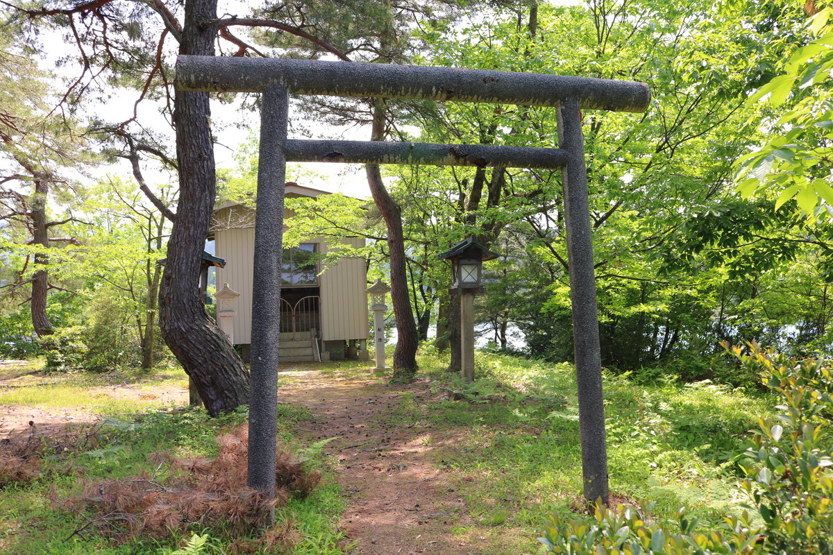 桜ヶ池神社の奥へと続く2つ目の鳥居と、豊かな木立に囲まれた静かで神秘的な神社の社殿。
