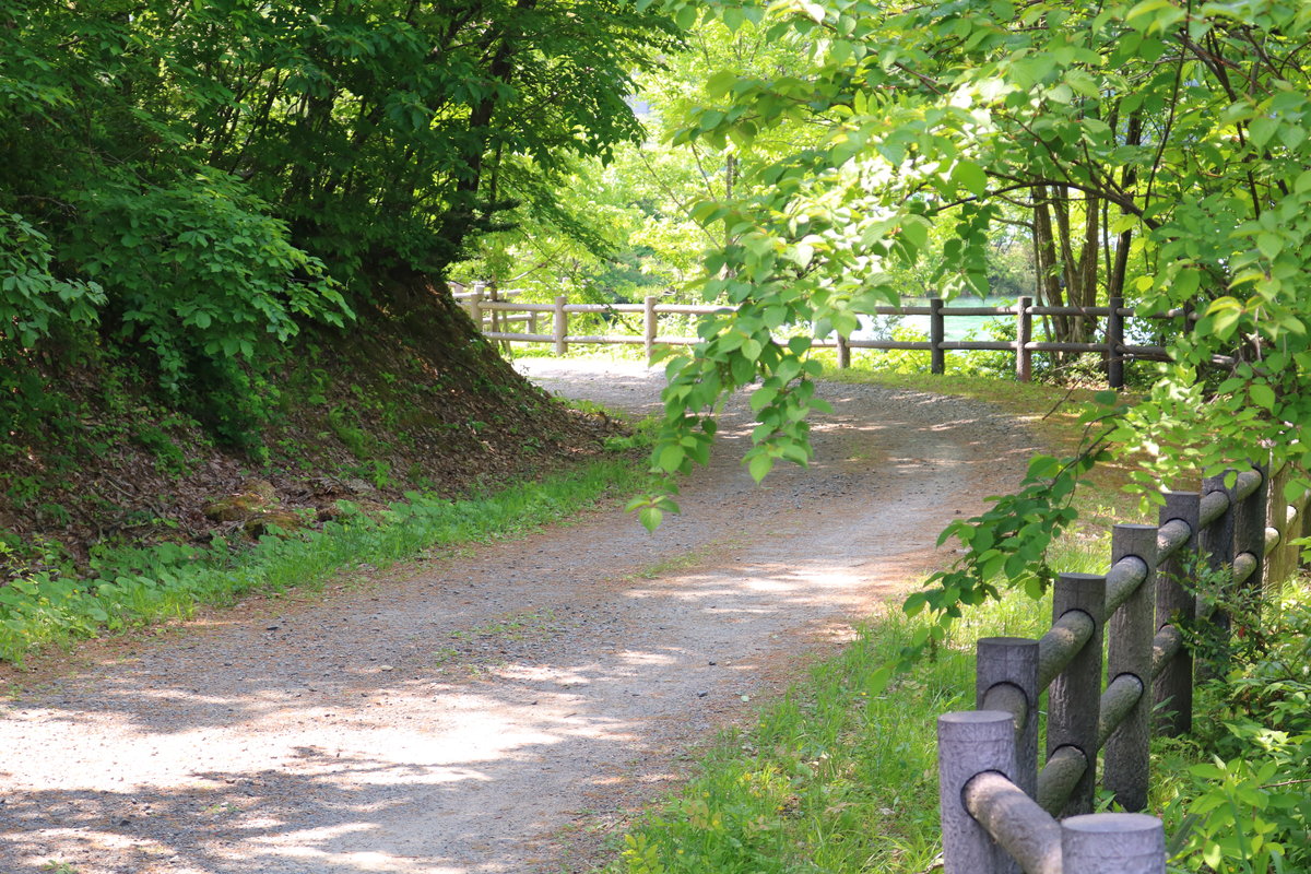 プレイアースパーク富山（桜ヶ池）の周辺観光の穴場、「桜ヶ池神社」への道のり。